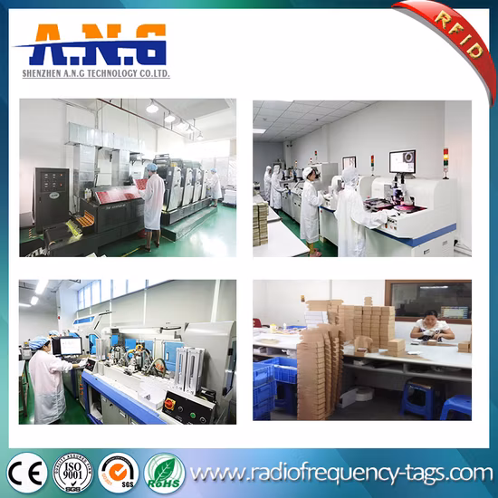 PPS Material Washable RFID Laundry Tag with Two Holes