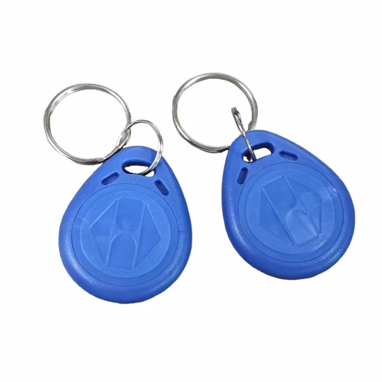Hot Sale ABS Ntag213 Ntag215 13.56 MHz RFID Key Fob